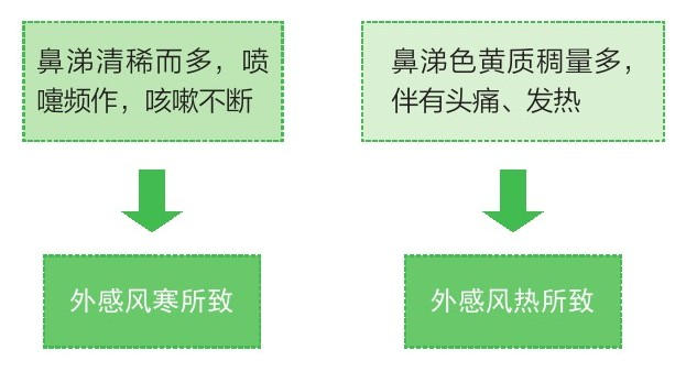 中医养生:鼻塞，流鼻涕的诊断穴位治疗，以及与慢性鼻炎的关注 - 东论健康