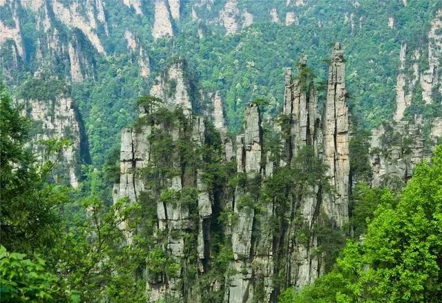 原创游记:张家界天门山凤凰古城四日游,精华旅