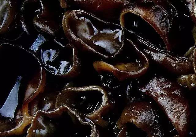 知道补钙第一名是什么吗?居然不是牛奶! - 东论