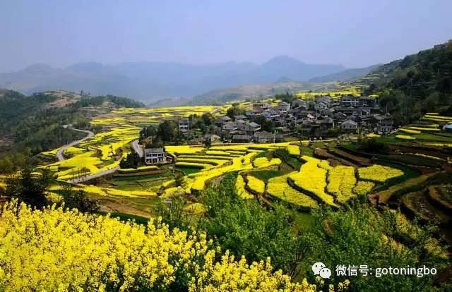 比“三生三世”十里桃林还要美的花海就在宁波,周末约起!