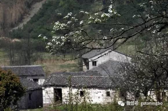 比“三生三世”十里桃林还要美的花海就在宁波,周末约起!