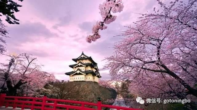 比“三生三世”十里桃林还要美的花海就在宁波,周末约起!