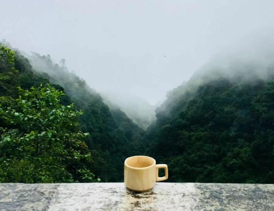 得闲饮茶61明心见性心学让饮茶成为一种生活方式