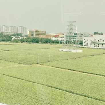 12号线地铁一路上风景