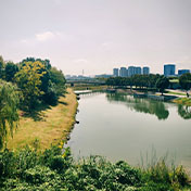 奉化江滨生态公园美景