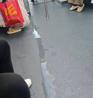 地铁满车厢的咸腥海鲜味