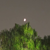 月