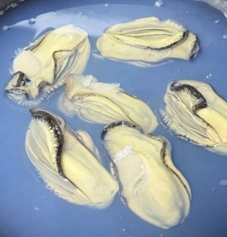 生蚝肉在锅里煮熟为什么水是蓝色的？