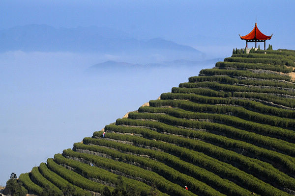 5月29日 临海羊岩山徒步穿越走起(景区逃票) [复制]