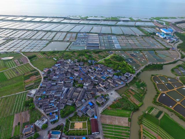 我为家乡拍封面丨鄞州咸祥镇海南村