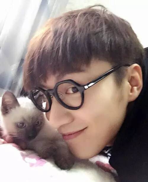 乔任梁,记录他和猫咪曾经拥有过的美好