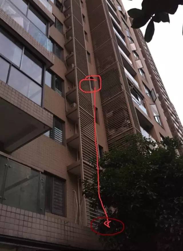 痛心!外婆出门买菜,6岁孩子独自在家,结果……