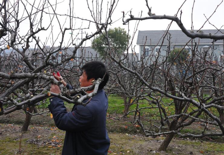 不忘普惠初心牢记金融使命 --农行宁波分行践行