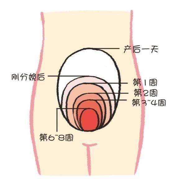 万万没想到,坐月子竟有这么多护理秘密,抓住这个脱胎换骨的机会