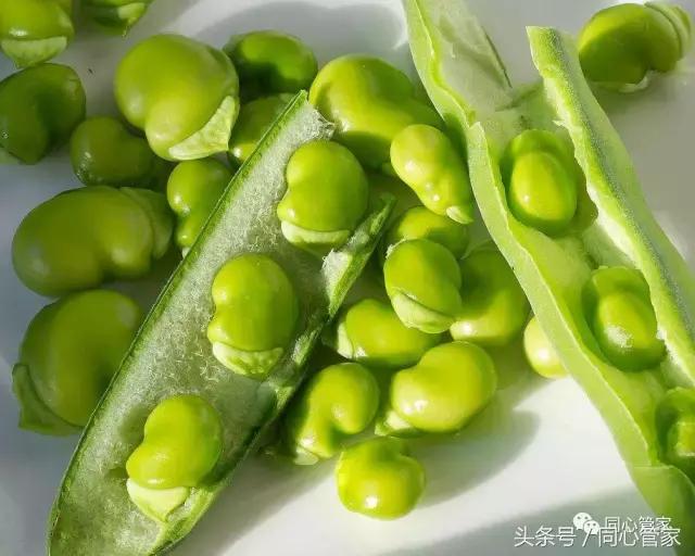 它就是软血管,防中风,效果好到惊人的"血管清理豆"夏季必备!