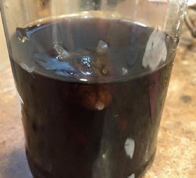 爷爷带孙子出门买可乐解渴,喝到一半发现瓶中竟瞪着一双眼