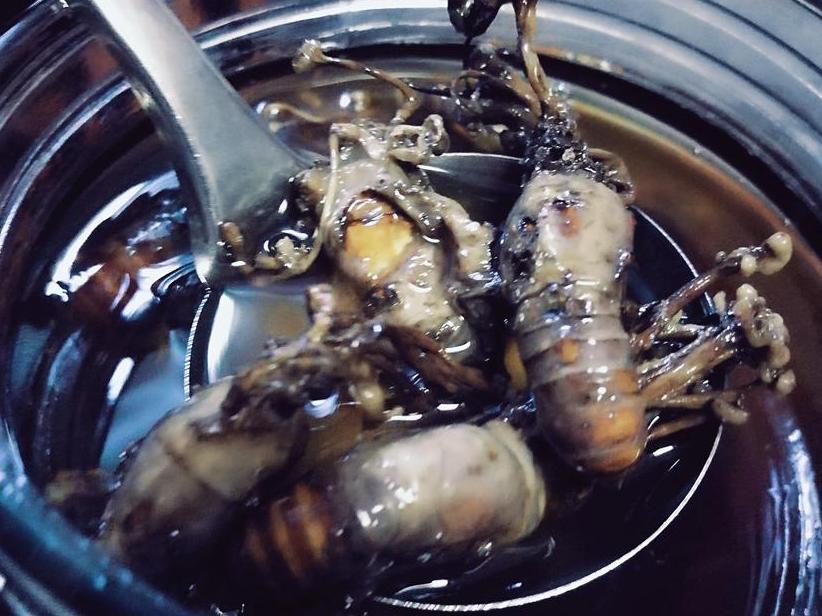 这酒敢喝么?