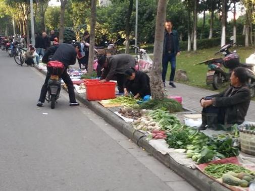 宁波禽类批发市场,地处海曙。马路已成小摊贩的乐园!