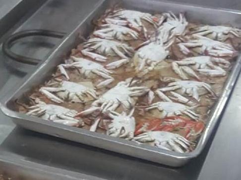 看看镇海中学分校的食堂,每餐10元,还有大螃蟹。