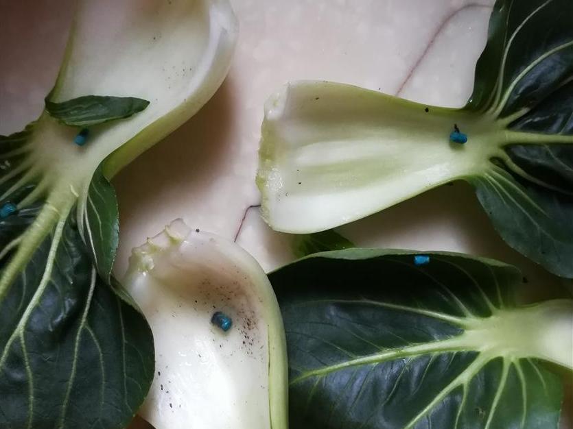 菜场买来的青菜,惊呆!良心不会痛吗?