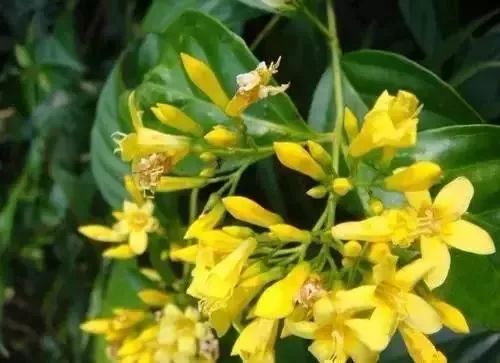 短线牛股推荐qq群