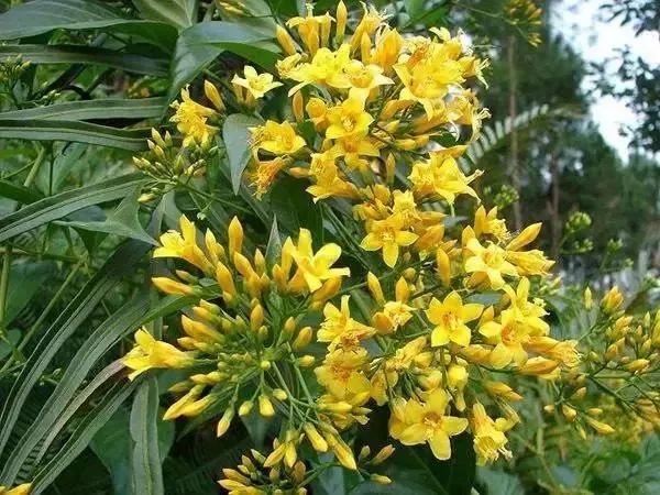 短线牛股推荐qq群