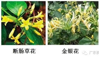 短线牛股推荐qq群