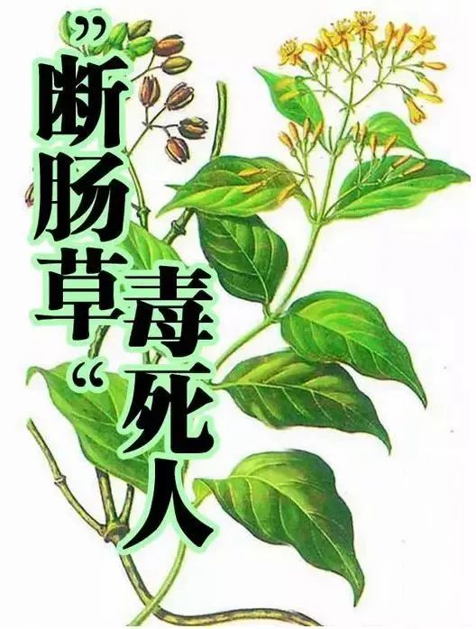 短线牛股推荐qq群