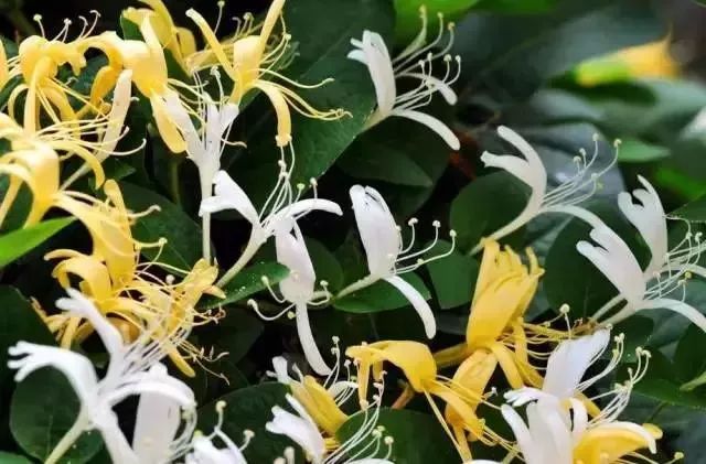 短线牛股推荐qq群