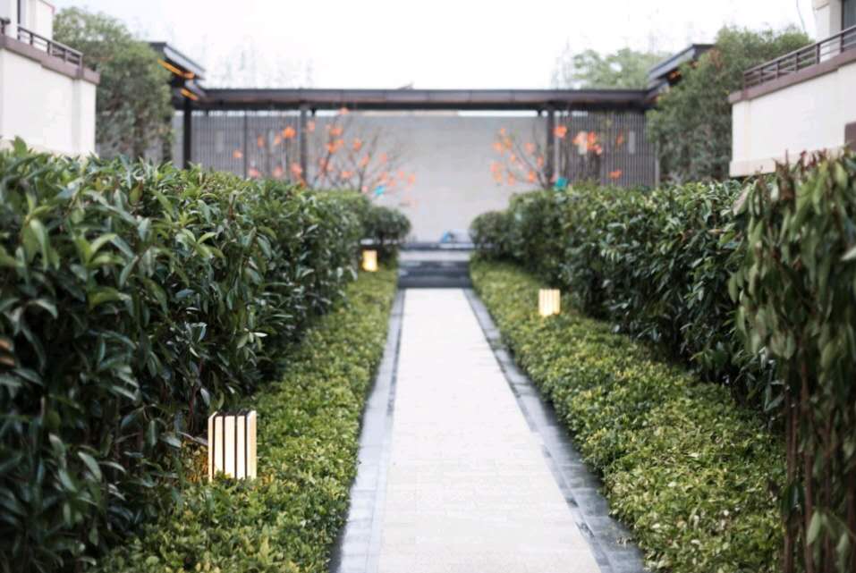 院墅雅集 一鉴倾心| 世茂泉溪江实景示范区风雅