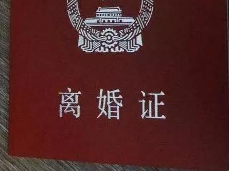 宁波一位母亲,27年前抛下儿子离开,如今却要来分家产!儿子一句话撕心裂肺…