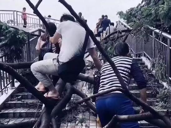 没有什么可以阻挡,深圳人对上班的向往!