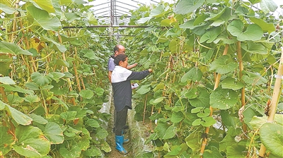 今夜起新一轮强降雨杀到宁波!大风大雨、暴雨降温!最最难熬的是…