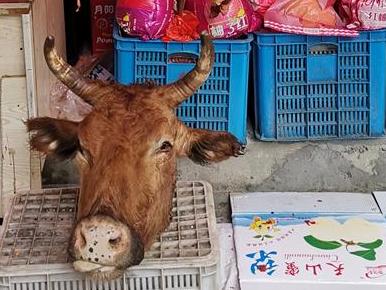 一个牛头就这样摆着……血水还淌下来,放在水果的旁边