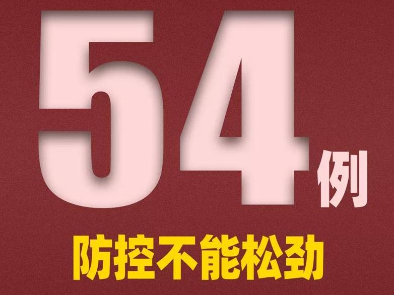 新增确诊54例均为境外输入!其中上海17例,浙江4例