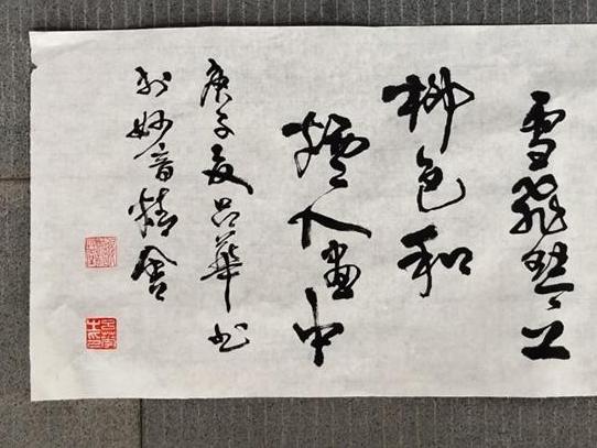 疫情中我开始闭关练草书!自己是正儿八经拜师学艺