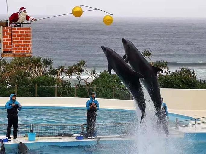 一年前,曾去冲绳旅游。水族馆是“海王级”的