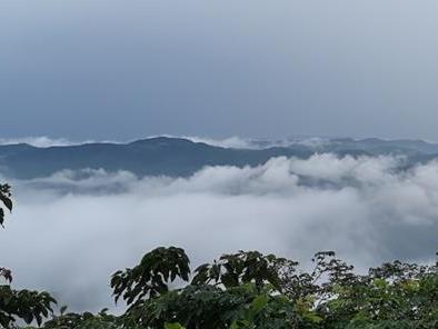 近日雨水多,有幸在宁波某座山的山顶拍到了云海!