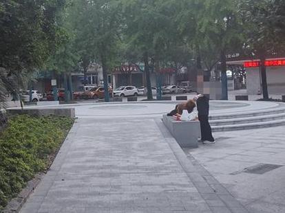 大爷公共场合给狗美容。拿梳子梳毛发,小狗很配合