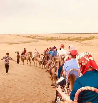 80元骑骆驼在沙漠走一圈，宁波团的队伍够长