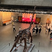 宁波博物馆～我们的恐龙展