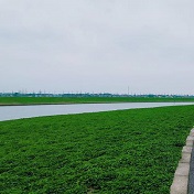  传说中的宁波最美江堤