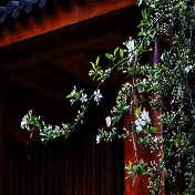 宝庆讲寺