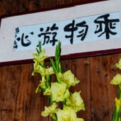 乘物园