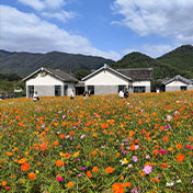 依山傍水片片花