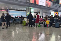 动车站已被浙B“秋假大军