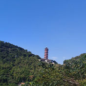 天童老街和小白塔