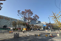 这个路口，急需一个红绿灯