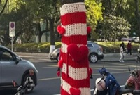 树也穿上了漂亮的毛衣