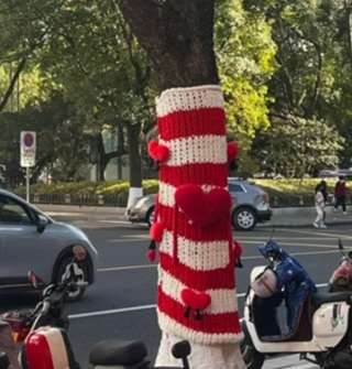 冬天到了，宁波街头的树也穿上了漂亮的毛衣